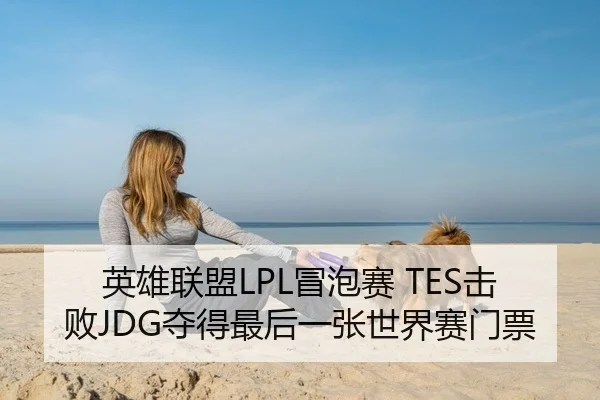 英雄联盟LPL冒泡赛 TES击败JDG夺得最后一张世界赛门票
